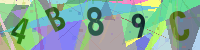 Security Code Image (please enable image display in your browser to view this code)